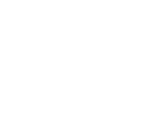 SAM Group 3AT