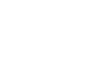ibis 3AT w
